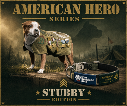 Sgt. Stubby Collar & Leash Set | American Heroes Edition 1