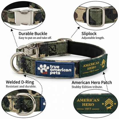 Sgt. Stubby Collar & Leash Set | American Heroes Edition 1