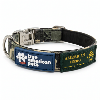 Sgt. Stubby Collar & Leash Set | American Heroes Edition 1