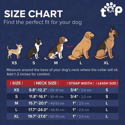 Sgt. Stubby Collar & Leash Set | American Heroes Edition 1