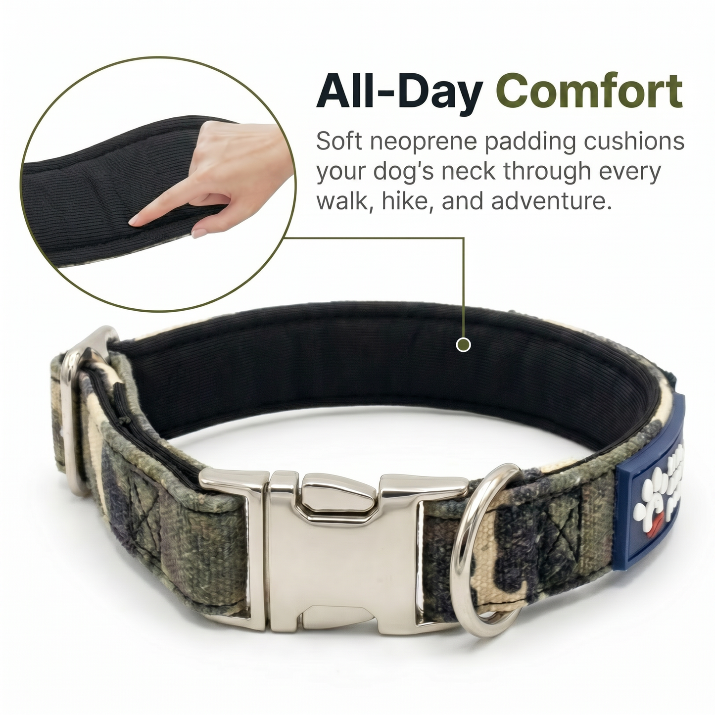 Sgt. Stubby Collar & Leash Set | American Heroes Edition 1