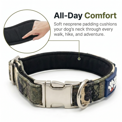 Sgt. Stubby Collar & Leash Set | American Heroes Edition 1