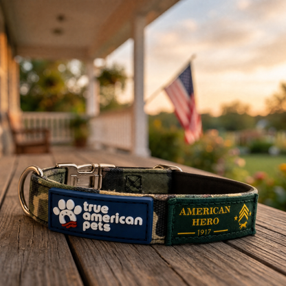 Sgt. Stubby Collar & Leash Set | American Heroes Edition 1